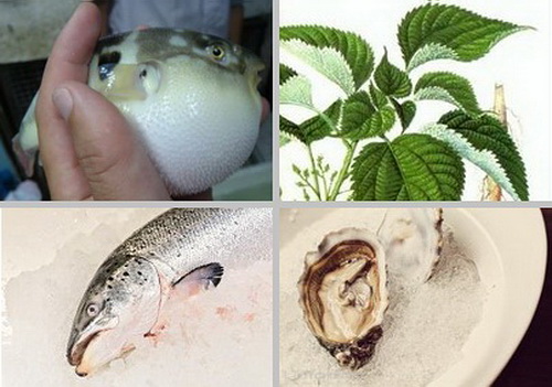 有毒的食物