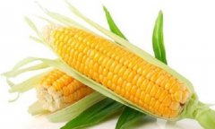 玉米豆腐宴超级营养配餐